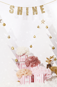 Dreamy Powder Tütü